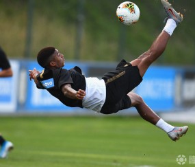 YABO- 夏洛特的网观后感