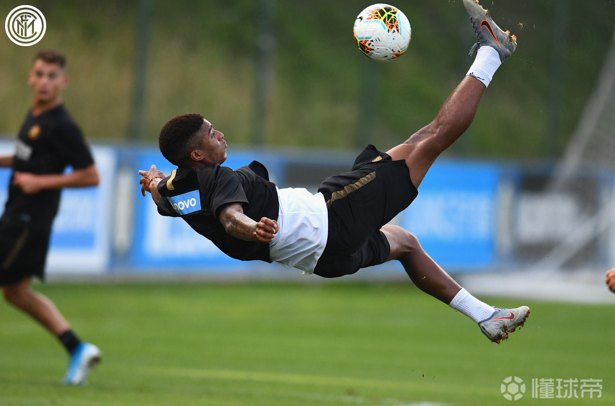 夏洛特的网观后感   夏洛特的网观后感